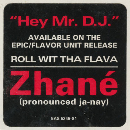 Zhané : Hey Mr. D.J. (12", Promo)