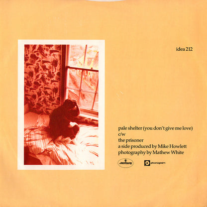Tears For Fears : Pale Shelter (You Don't Give Me Love) (12", RE)
