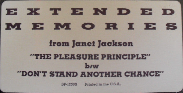 Janet Jackson : The Pleasure Principle / Don't Stand Another Chance (12", Ltd, RE)