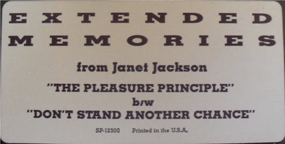 Janet Jackson : The Pleasure Principle / Don't Stand Another Chance (12", Ltd, RE)