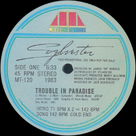 Sylvester : Trouble In Paradise (12", Promo)
