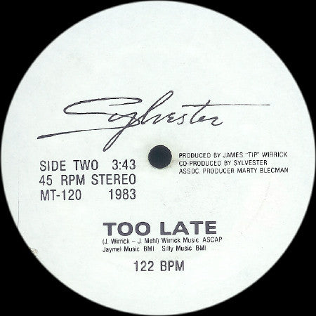 Sylvester : Trouble In Paradise (12", Promo)