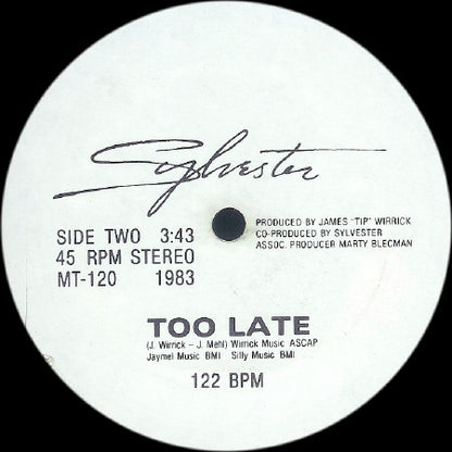 Sylvester : Trouble In Paradise (12", Promo)