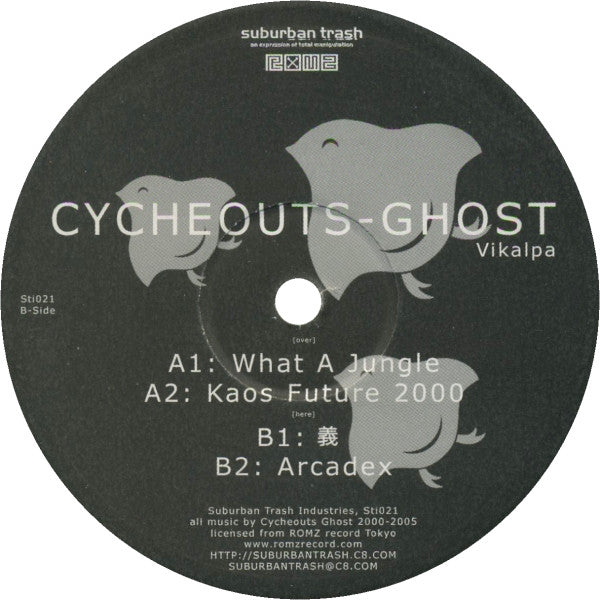 サイケアウツG : Vikalpa (分別) (2xLP, Album)