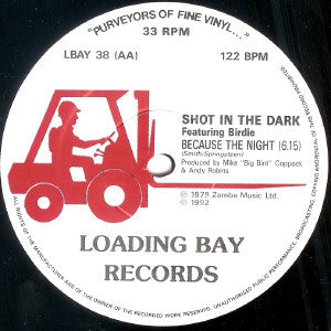 Shot In The Dark : Because The Night (12")
