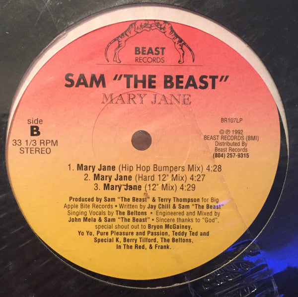 Sam The Beast : Wait A Minute (12", Single)