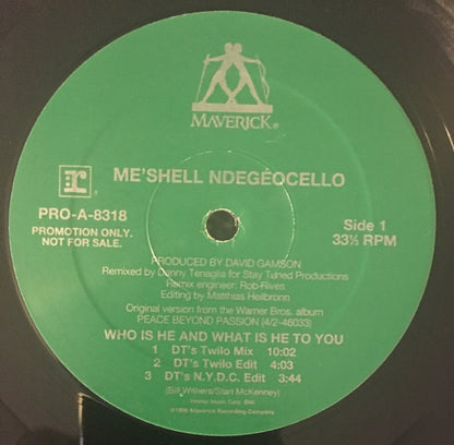 Me'Shell NdegéOcello : Who Is He And What Is He To You (12", Promo, Gre)