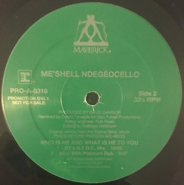 Me'Shell NdegéOcello : Who Is He And What Is He To You (12", Promo, Gre)