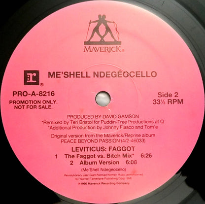 Me'Shell NdegéOcello : Leviticus: Faggot (12", Promo)