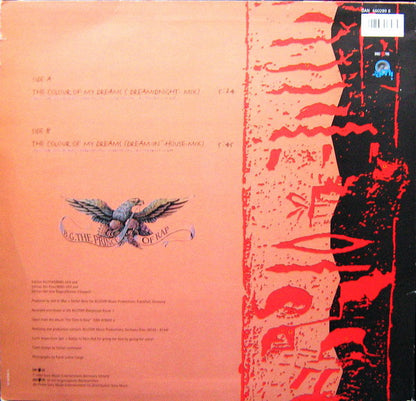 B.G. The Prince Of Rap : The Colour Of My Dreams (12")