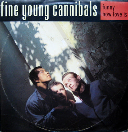 FYC* : Funny How Love Is (12")