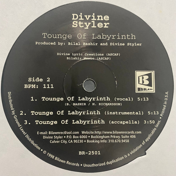 Divine Styler : Ain't Saying Nothing (12")