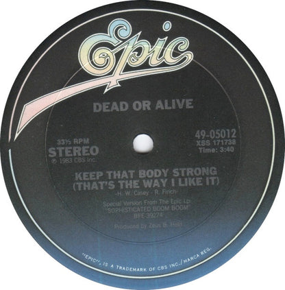 Dead Or Alive : That's The Way (I Like It) (Dance Version) (12")