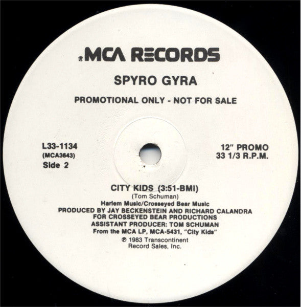 Spyro Gyra : Nightlife (12", Promo)