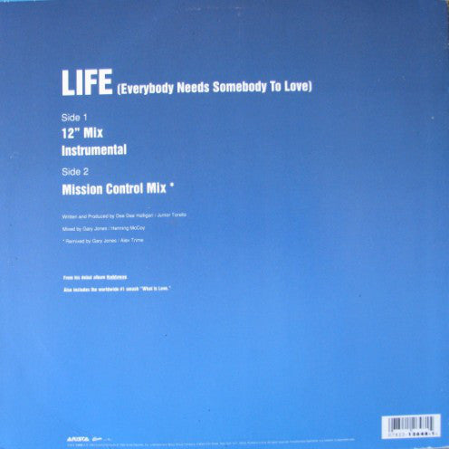 Haddaway : Life (Everybody Needs Somebody To Love) (12")