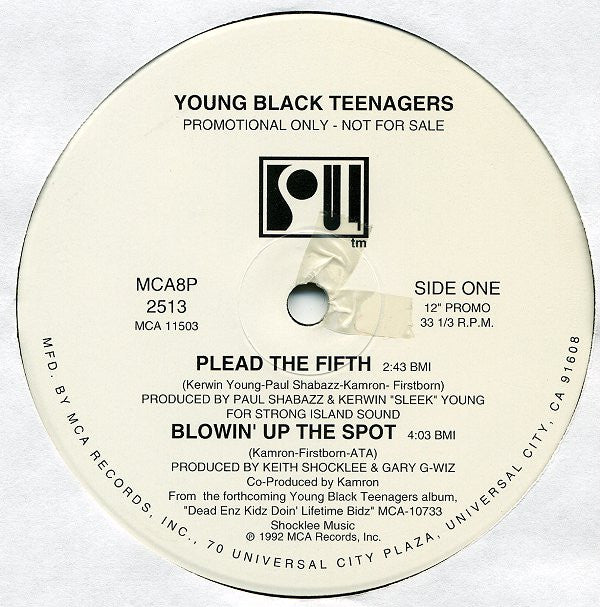 Young Black Teenagers : Plead The Fifth EP (12", Promo)