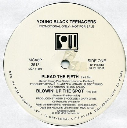 Young Black Teenagers : Plead The Fifth EP (12", Promo)