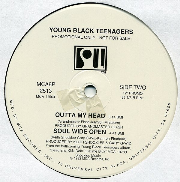 Young Black Teenagers : Plead The Fifth EP (12", Promo)