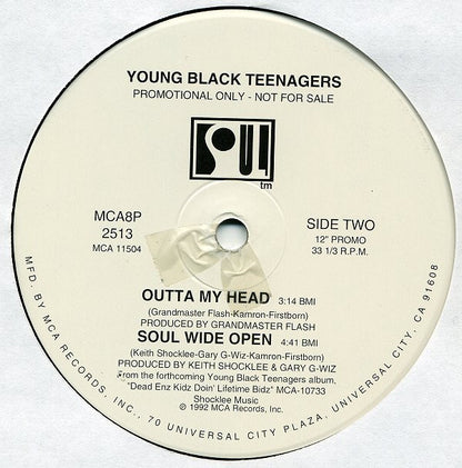 Young Black Teenagers : Plead The Fifth EP (12", Promo)