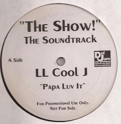 LL Cool J / Mary J. Blige : Papa Luv It / Everyday It Rains (12", Promo)