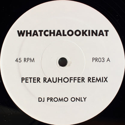 Whitney Houston / Brandy (2) : Whatchulookinat / What About Us (12", Unofficial, W/Lbl)