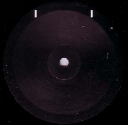 Tigerhook Corp. : THC EP 1 (12", EP, TP)