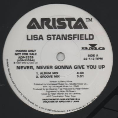 Lisa Stansfield : Never, Never Gonna Give You Up (12", Promo)