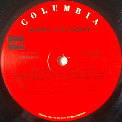 Marc Anthony : You Sang To Me (12")