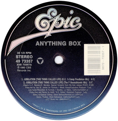 Anything Box : Jubilation (This Thing Called Life) (12", Maxi)