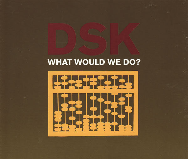 DSK : What Would We Do? (CD, Single)