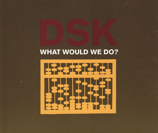 DSK : What Would We Do? (CD, Single)