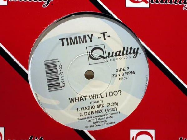 Timmy -T-* : What Will I Do? (12")