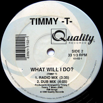 Timmy -T-* : What Will I Do? (12")