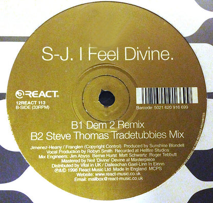 S-J : I Feel Divine (12")