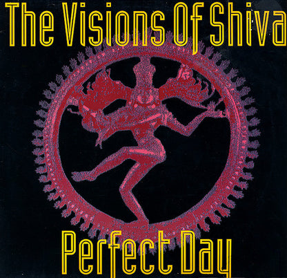 The Visions Of Shiva : Perfect Day (12")