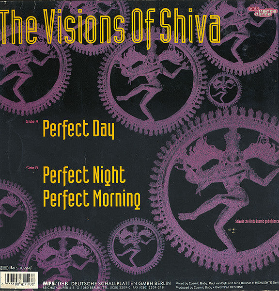 The Visions Of Shiva : Perfect Day (12")