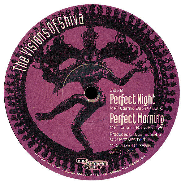 The Visions Of Shiva : Perfect Day (12")