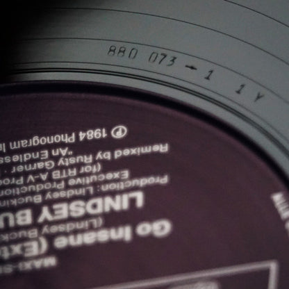 Lindsey Buckingham : Go Insane (Extended Remix) (12", Maxi)