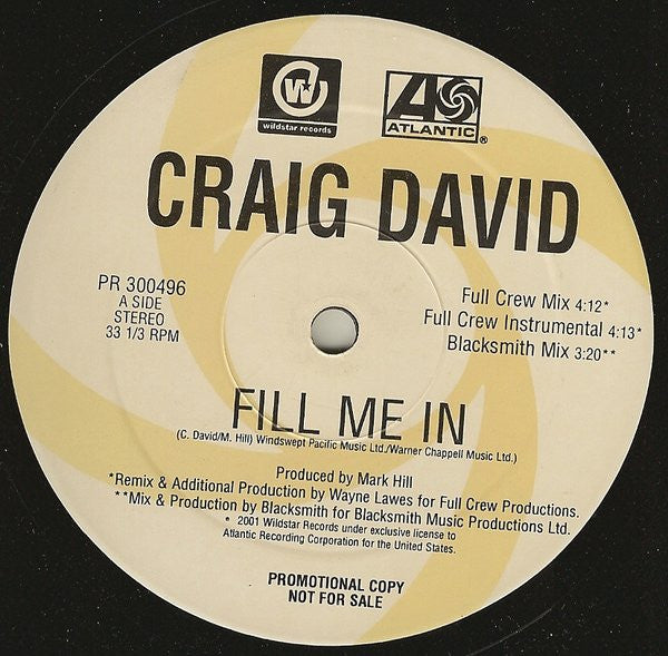 Craig David : Fill Me In (12", Promo)