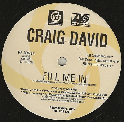 Craig David : Fill Me In (12", Promo)