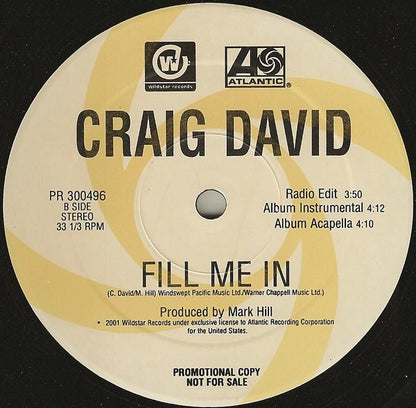 Craig David : Fill Me In (12", Promo)