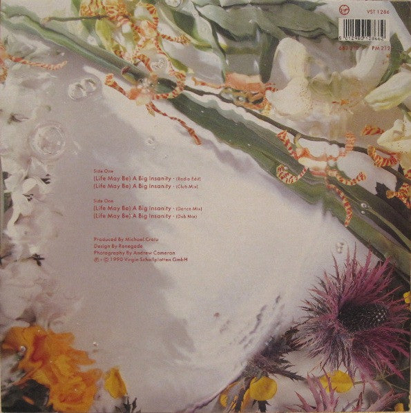 Sandra : (Life May Be) A Big Insanity (12")