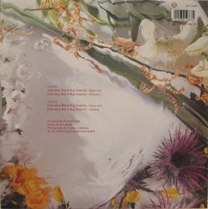 Sandra : (Life May Be) A Big Insanity (12")