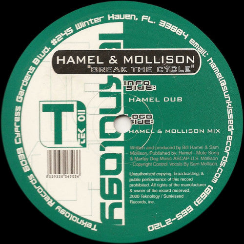 Hamel* & Mollison* : Break The Cycle (12")