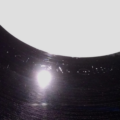 Hott 22 : I Feel Love (12")