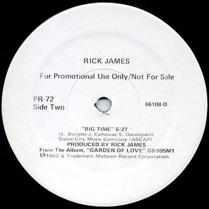Diana Ross / Rick James : Upside Down / Big Time (12", Promo)