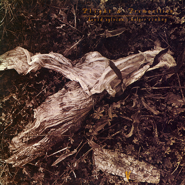 David Sylvian + Holger Czukay : Plight & Premonition (LP, Album, ARC)