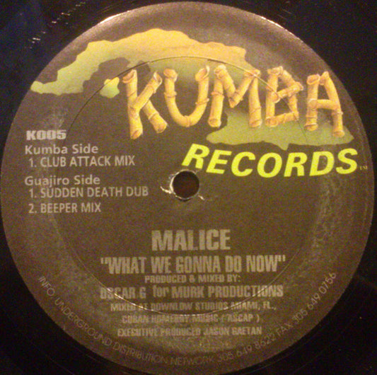 Malice (14) : What We Gonna Do Now (12")