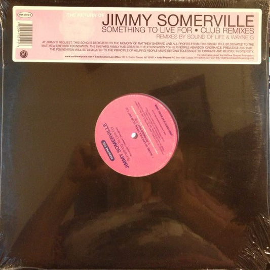 Jimmy Somerville : Something To Live For (12")