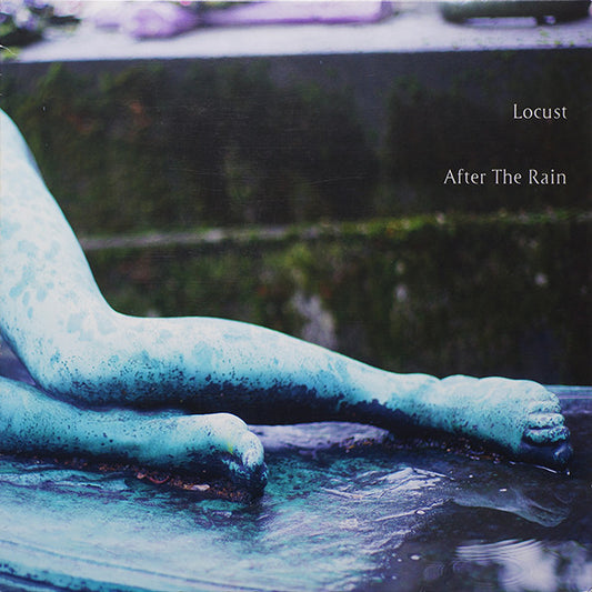Locust : After The Rain (LP, Album)